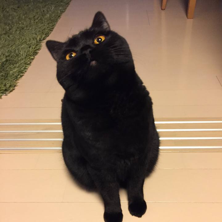 64f6d780 e6a8 4ecb 8144 dbc2d589cf43 1517832815534