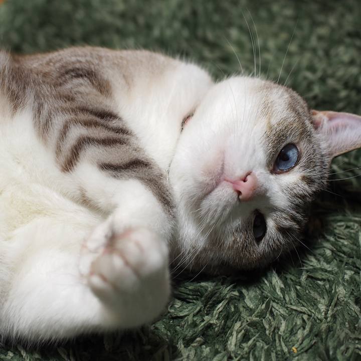 64f7412a 9df5 47af 8c8c b148265adf8e 1592743834514