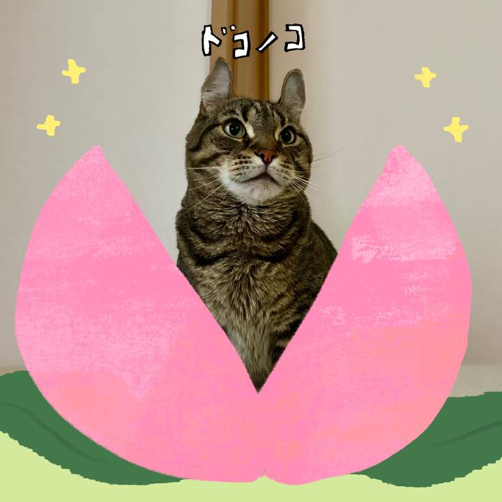 64f78f4c f11e 4096 935c 1939ec185871 1771986390402