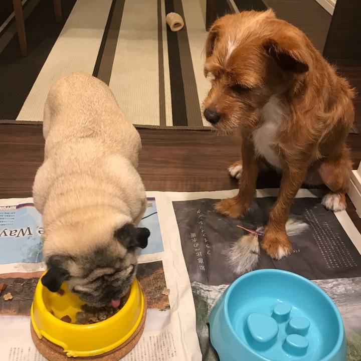 64f7a869 f422 4ed7 bdcb 5048a45a6d81 1568249699834