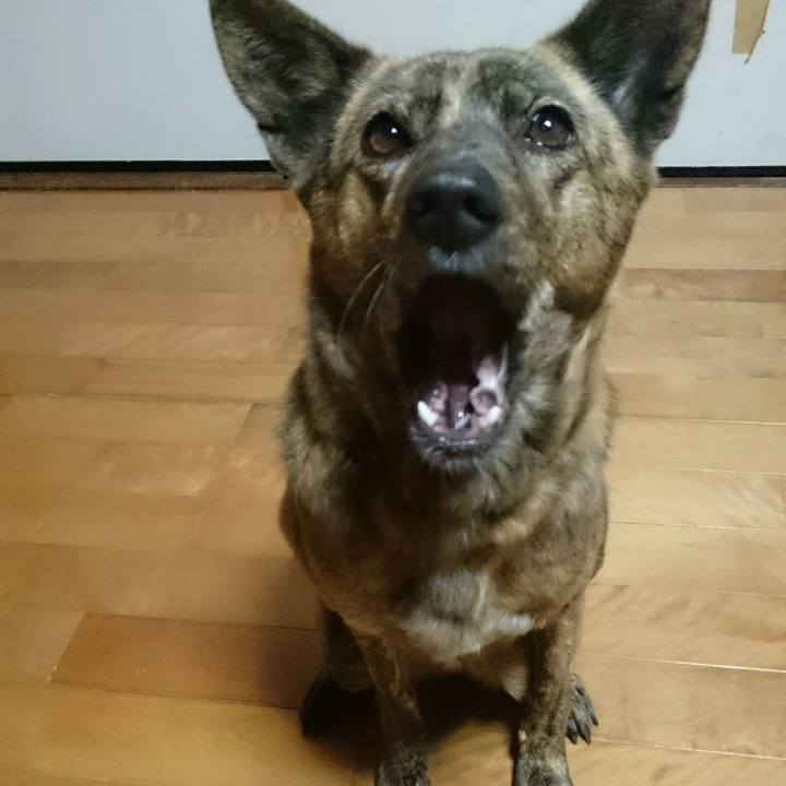 64f7b2fd 02fb 47e0 9baf 4c2f1142f965 1512768543825