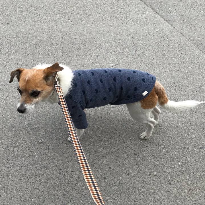 64f7bf88 1452 47a1 8135 064b06c7aee2 1551240152029