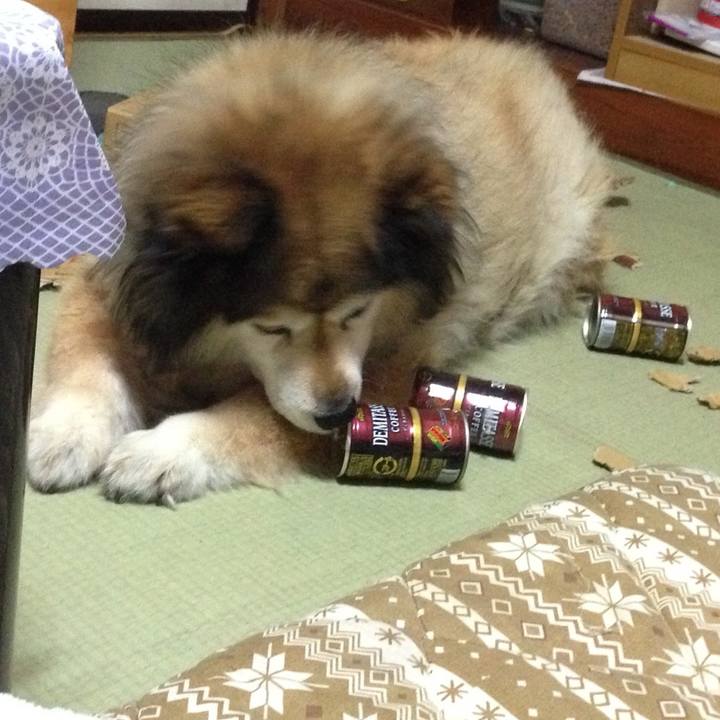 64f7c559 fc57 46cc b566 ba702a523ef0 1549160432309