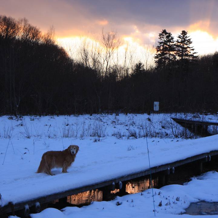 64f8010d fcce 4117 9932 cafb160cdfda 1765005971200