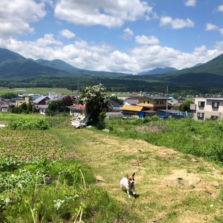 64f81c6b 4380 4b4e 9492 1adddbf6d491 1592986644018