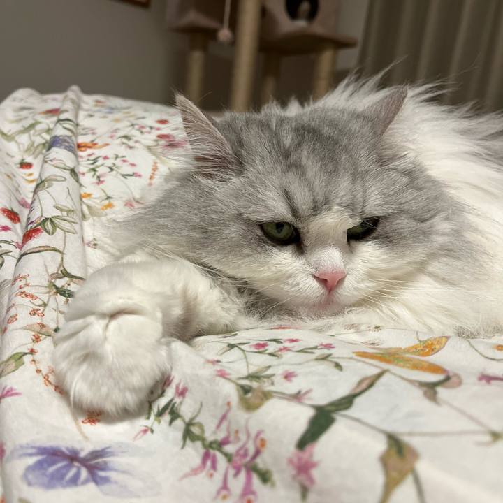 64f827e0 f061 469b bc30 7dc6aa58b39c 1665310208525