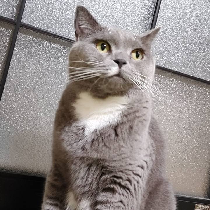 64f8319a b00b 4828 8daa e9402aceac26 1630415609992