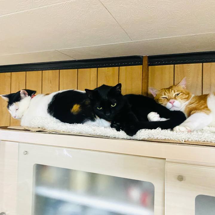 64f870f6 cd82 4f22 bbb5 350cf30d4977 1765106320143