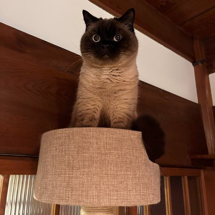 64f8873c 83c0 4ebc 9060 4eb0f945e0db 1680179042956