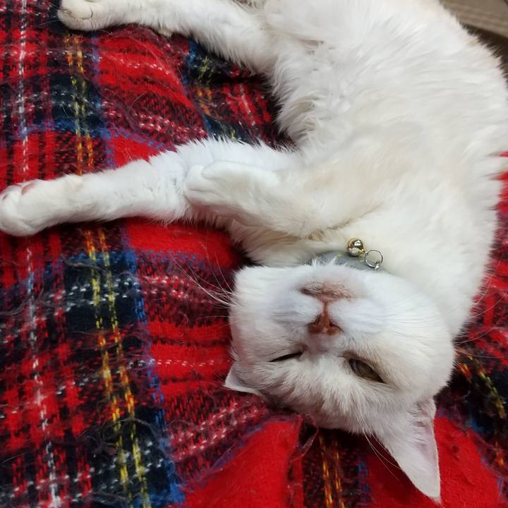 64f892c4 9004 4391 b9dd 1a075c8408e5 1673870294320