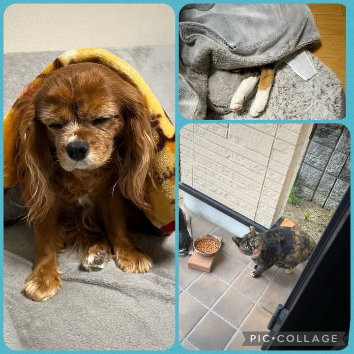 64f8b7b0 677c 4734 8cf7 42bb609938a7 1710655238403