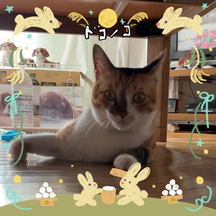 64f8cb14 0c20 46e2 be2c fee8efbfc02d 1727216914796