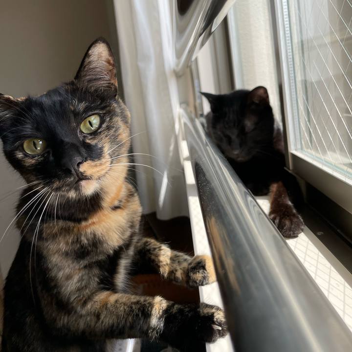 64f8ee08 c341 4828 90b4 6be00481ac88 1660104929637