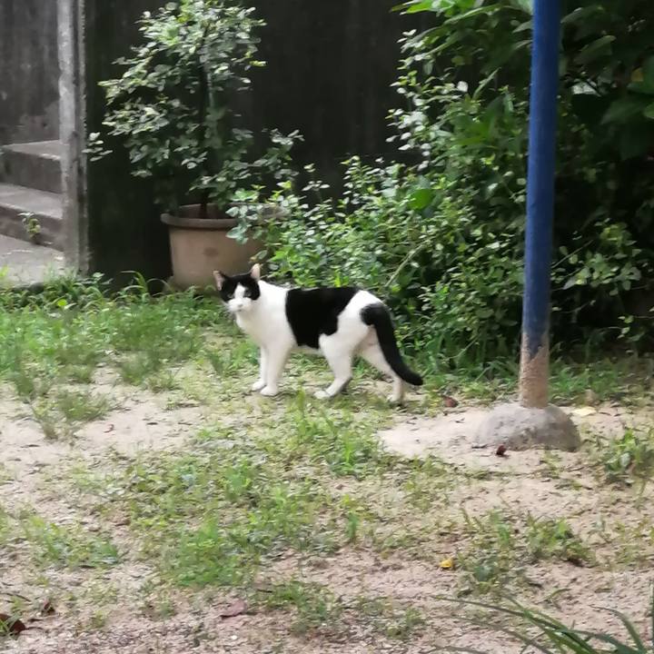 64f9016a d402 49c8 b4bd e0dc6dc491a7 1626037033707