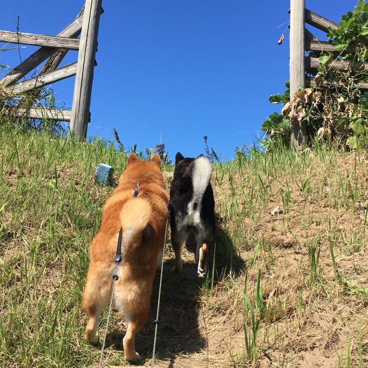 64f94be5 1e0f 4c44 91af d44210612046 1632071989048