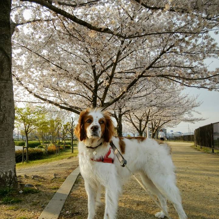 64f99ec1 7fee 460f a686 f7d3a05c41ea 1554723347037