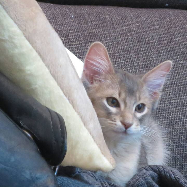 64f9b0c1 6617 49fc 89e3 e425a4dc4fa3 1541592504997