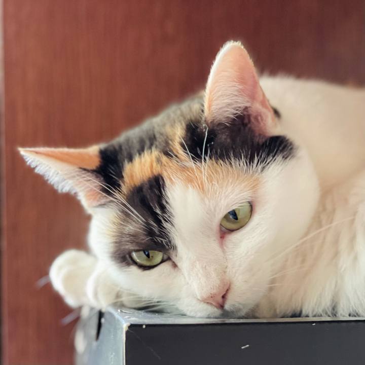 64fa0e8c 9558 46d2 a518 b3f836b7f20a 1629509114894