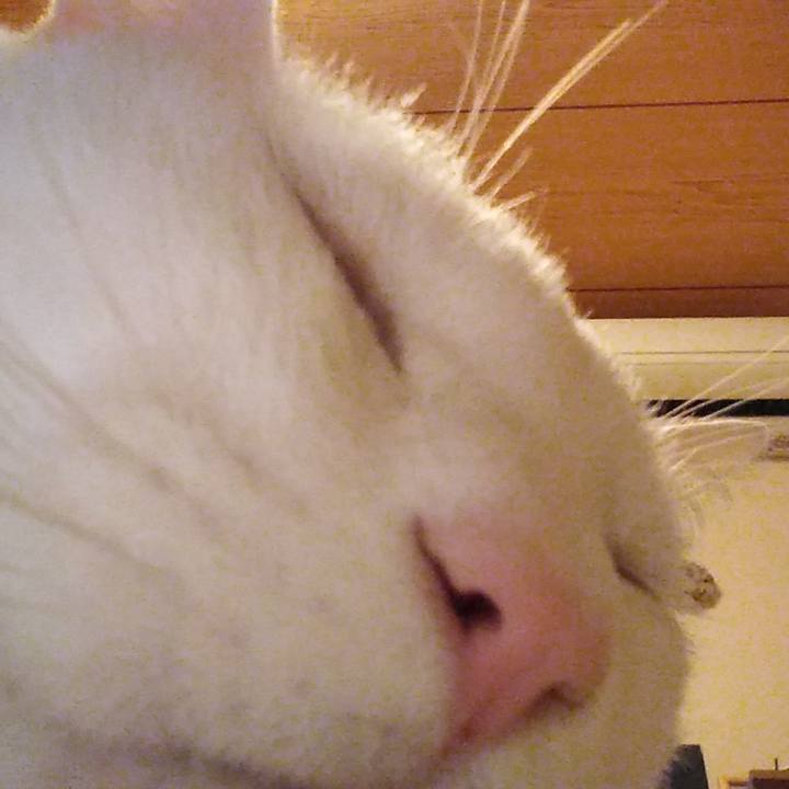 64fa1873 de4b 4eae 9fed 2759fc17dddd 1573827926812