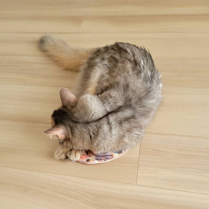 64fa2256 71b2 46c3 82a6 79d17d6dc5e4 1629466628143