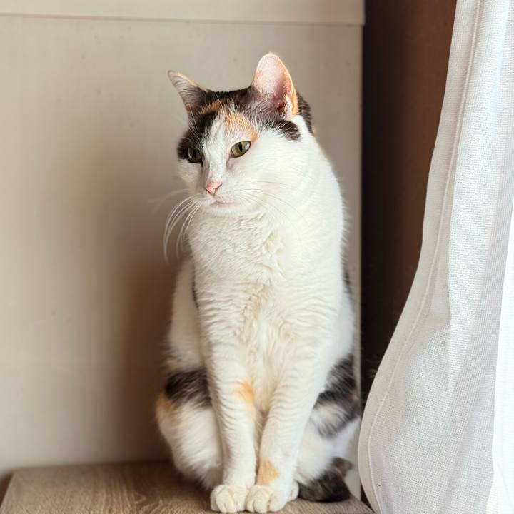 64fa2a10 2f42 4027 836e 8be023bc18b4 1741228182834