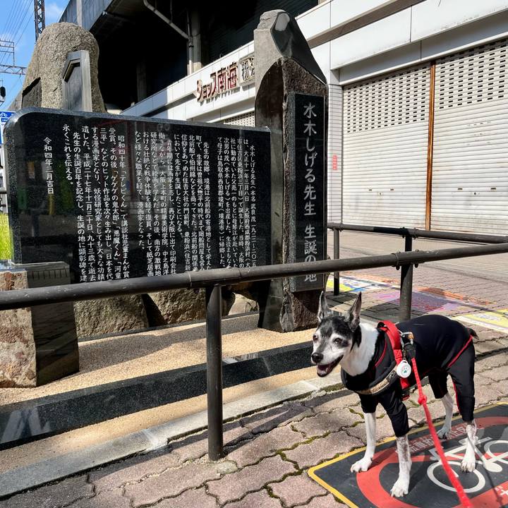 64fa7209 2a57 432a 891d 3c65abbe5c68 1654997512090