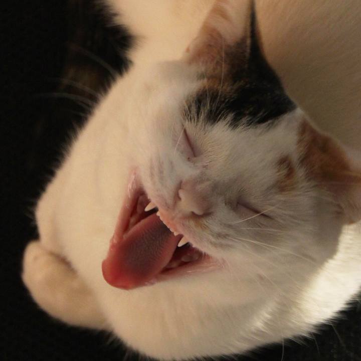 64fa7c84 9238 408f 8311 8bde33ab107c 1552953252136