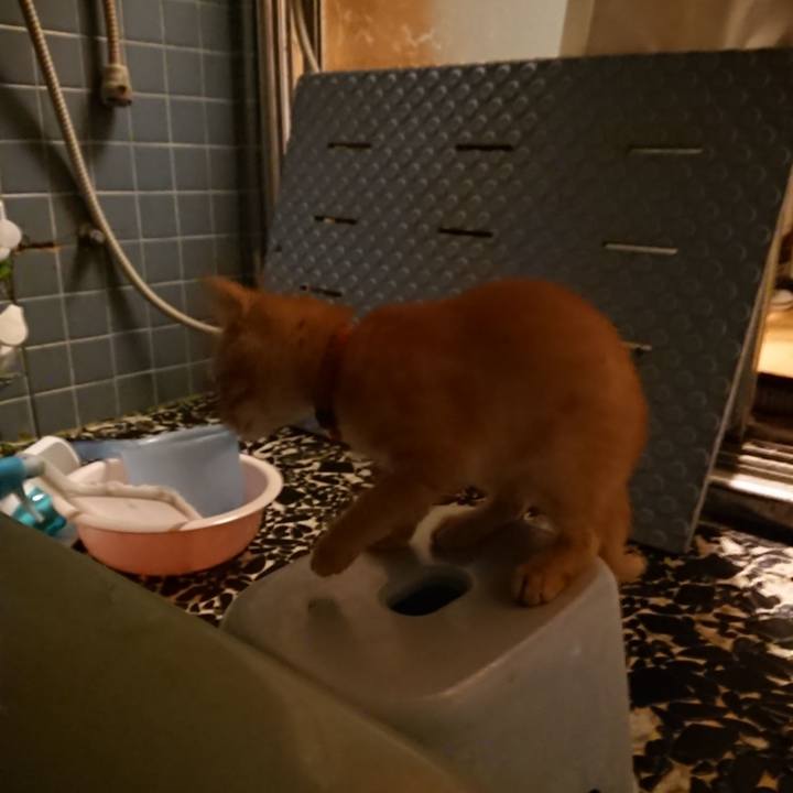 64faece3 dfae 4c5d 90e7 8383be2ac285 1631872571049