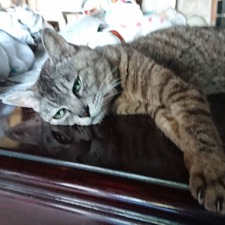 64fb0a48 9065 4fe4 aaa7 a2289f8b1977 1565081104449