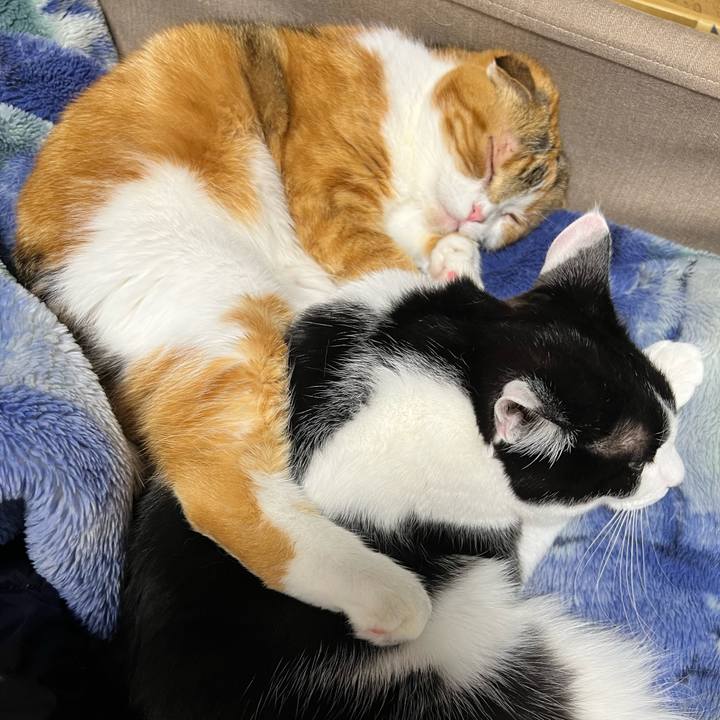 64fb2f2e 2682 4e46 b490 6b51d25814de 1711881654702