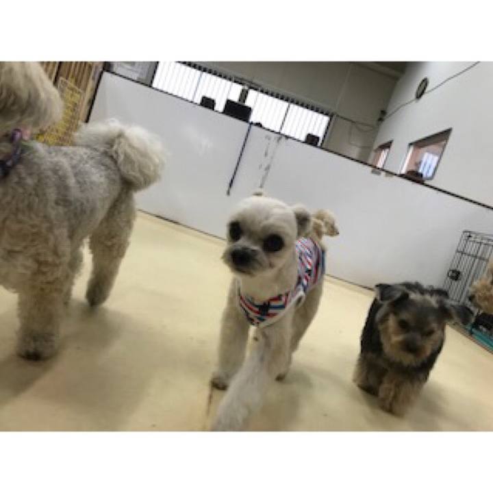 64fb34ee 5db3 4fdc afca 2df2732a0602 1555724119286