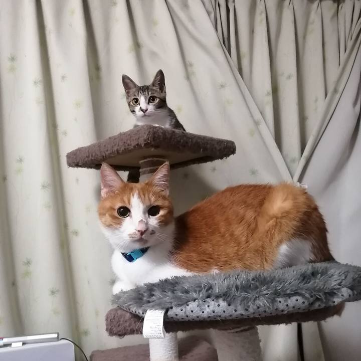 64fb620f 5dfd 4545 934b f9534b18a16a 1664282857498