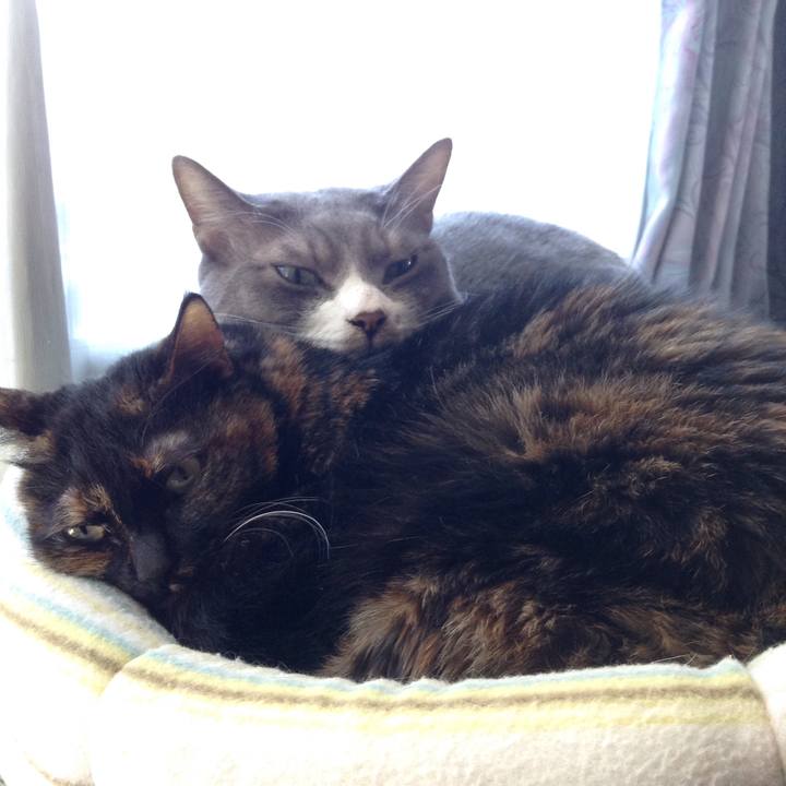 64fb73ba 45d3 4407 94c0 5d7f7d4f6e8f 1514267823932