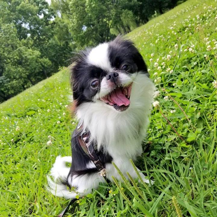 64fb7ddf 669a 42ca a324 39d3689ea362 1654428909084