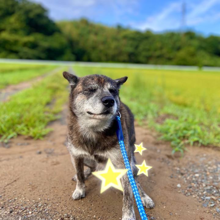 64fb8b16 e024 4bbc 99ec 6daaa110e2fc 1660690244728