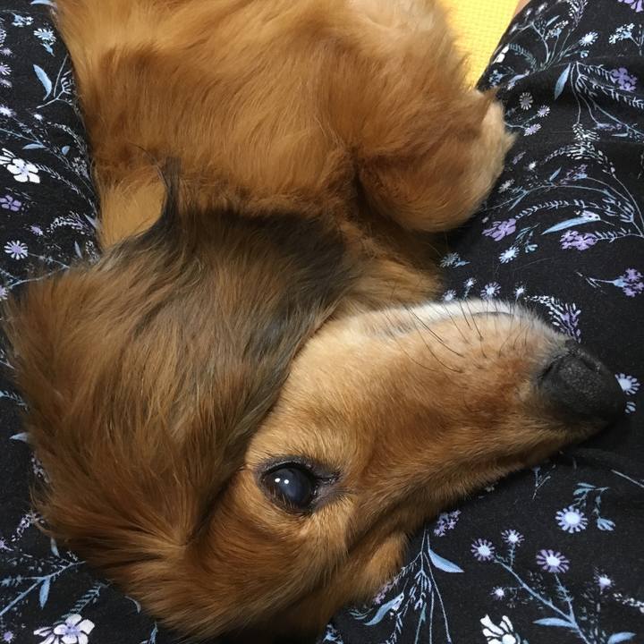 64fbc041 8828 45f5 98ed 12e9ac84b964 1529848185073