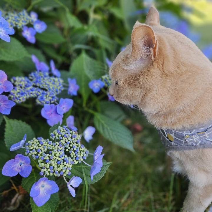 64fc48a4 732d 4b81 8bc0 b5d8d6f48b8a 1720842119419