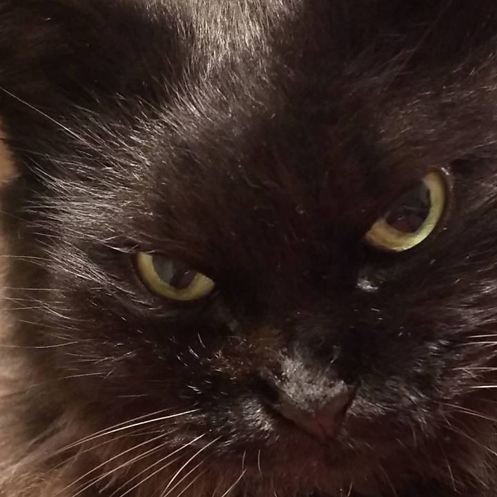 64fc7e12 d76b 44ea 9d98 9adcb138df70 1568459124809