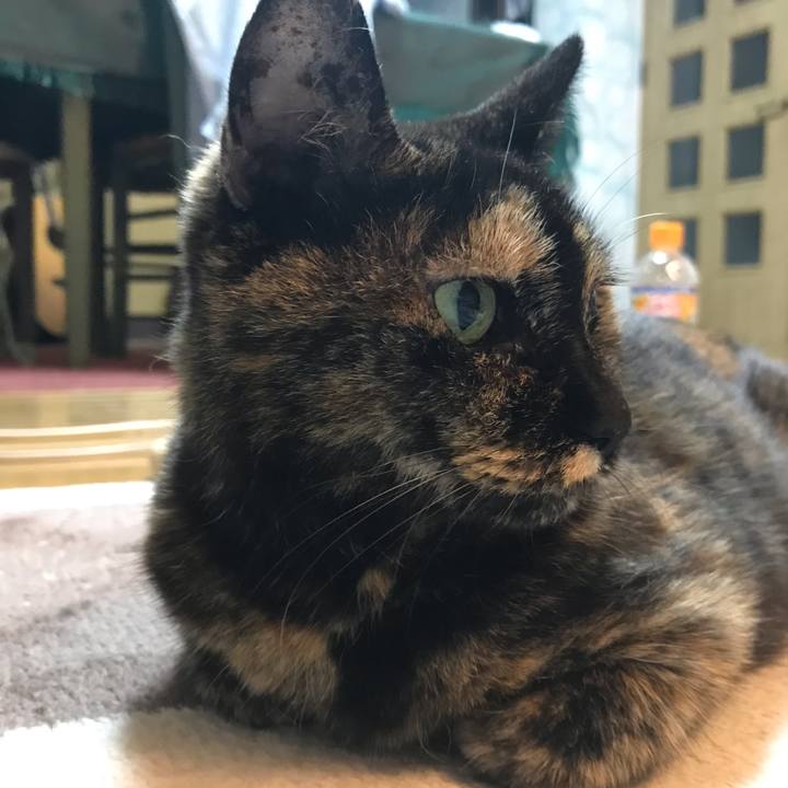 64fc87fd 01aa 428c ab11 395d75cd3a74 1597882908304