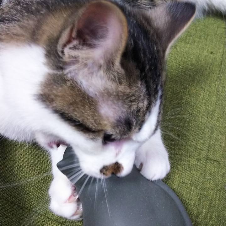 64fc8d90 7d76 4330 aa75 ad4ee2506667 1617103614371