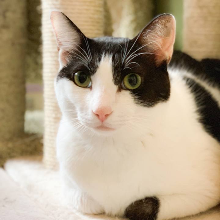 64fcb2c5 dddf 475b adce 70e5be37b951 1569289653974