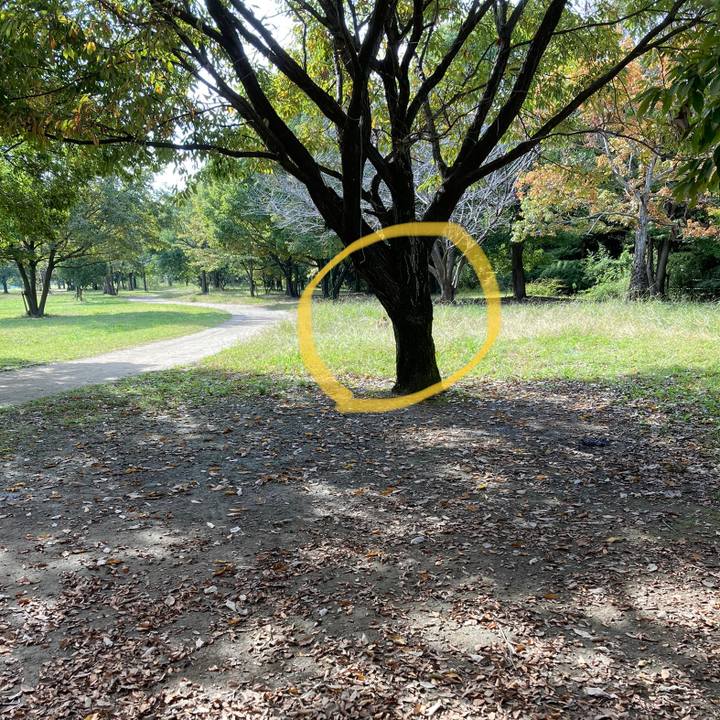 64fccef8 f5e0 49c3 814e 2f90d9065037 1635809983624