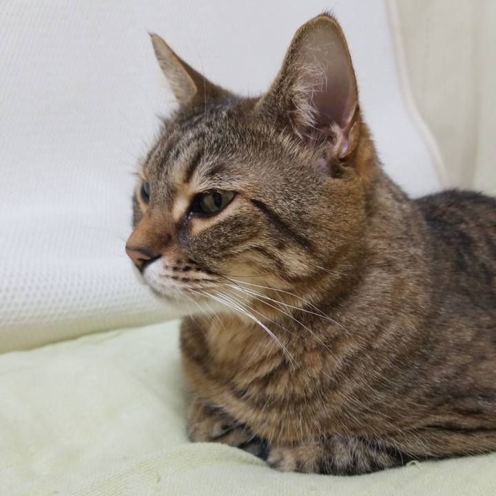 64fd0935 e31f 4275 b310 74d2ad385d5f 1588589714825