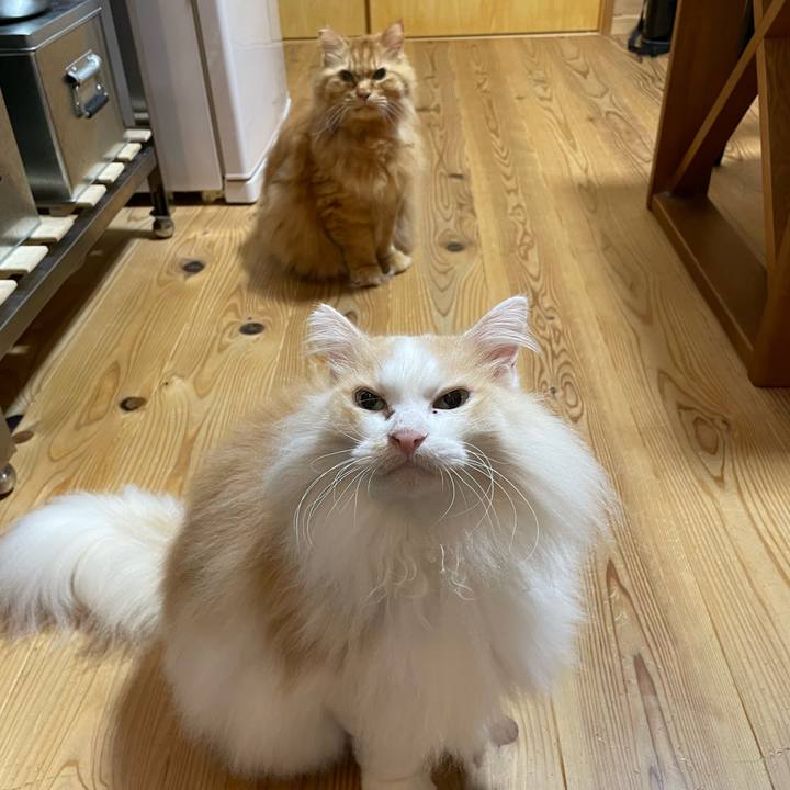 64fd18fd c6e0 46d4 bdc3 1bc1e56d4ec2 1664316429156