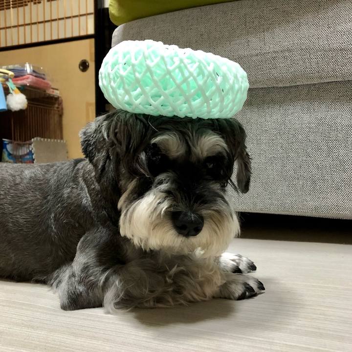 64fd23e9 787b 4fdc bd46 ad0c4226720d 1661596078272