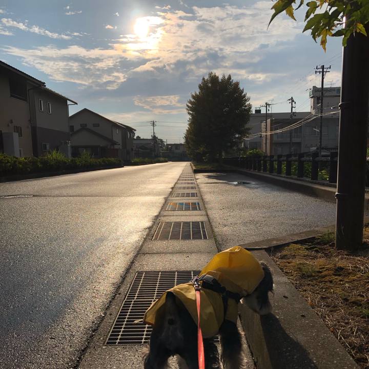 64fd580e fc29 4a30 84f0 01a9c156eff3 1625288786889