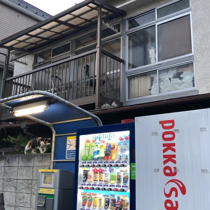 64fd5905 ecb7 4461 9a8c ff23e1544f63 1556482396349