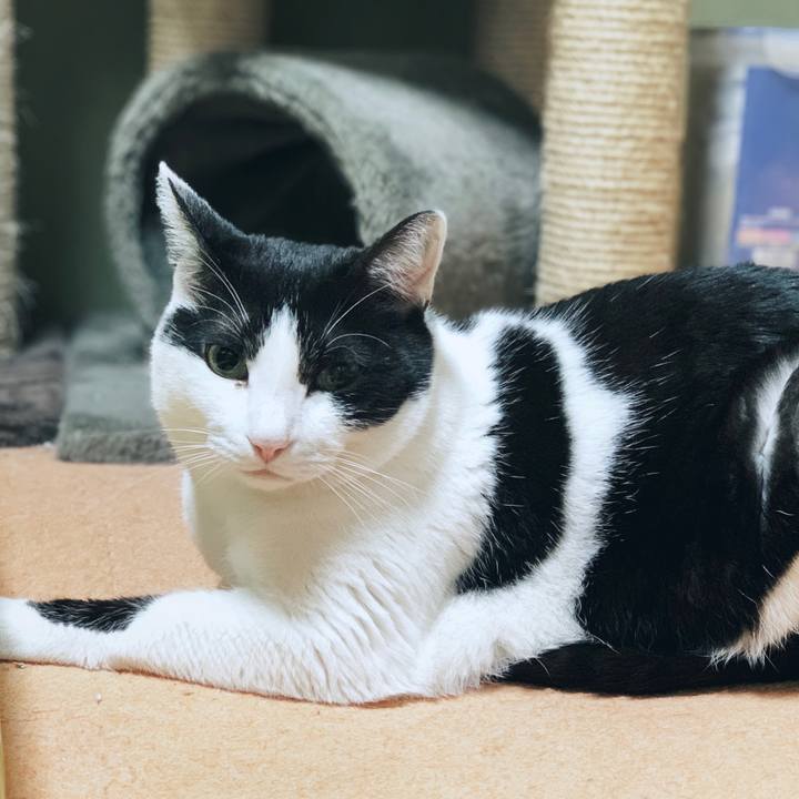 64fd83e3 2ef1 438e 9a3d e599482e0520 1554342050414