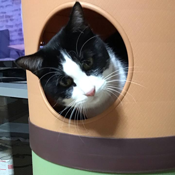 64fd8b46 90be 4cbd 89fe 0bd38009156f 1674132498397