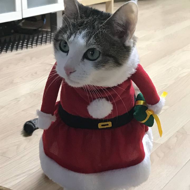 64fda2b9 924c 4c93 8383 001d247905fc 1671869818856